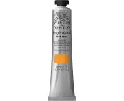Winsor & Newton 200ml Professional Acrylic Colour Artist/Painting Raw Sienna S1