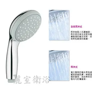 【麗室衛浴】德國GROHE 28422 天瀑兩段式出水 手持式蓮蓬頭 F-740-4