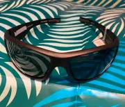 Unsinkable Polarized - Torrent Raven CB Grey