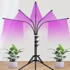 Tripod USB Phyto Lamp Full Spectrum Hydroponics Bulb LED Grow Light Indoor Plant
