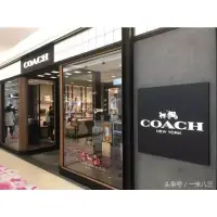 在飛比找蝦皮購物優惠-正品COACH全真皮神秘紫手提肩斜背包款