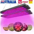2X 5000W LED Grow Light Hydroponic Full Spectrum Indoor Flower Plant Lamp Panel