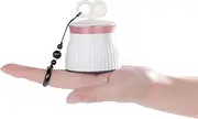 Portable Hydrogen Water Generator Molecular Hydrogen-Rich Water Maker with SPE and PEM Technology 3 Minutes Electrolytic Concentration Up to 1200-1400 PPB