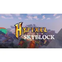 在飛比找蝦皮購物優惠-Hypixel Skyblock 遊戲幣/Slayer代打/