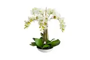 Glamorous Fusion Phalaenopsis Orchid Artificial Plant Flower Decorative 60cm White Bowl - Apple Green
