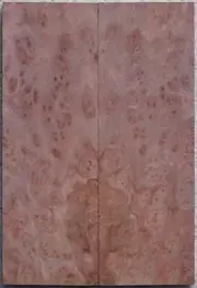 Outstanding Redwood Lace Burl knife scales #7133, 6 1/4 x 2 1/8 x 1/2"
