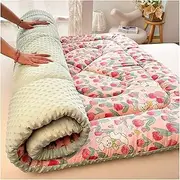 Japanese Floor Mattress Futon Mattress, Cotton Fill Single Double Roll Up Foldable Mattress, Foldable Camping Sleeping Pad, for Home Dormitory(D,90x200cm)