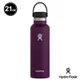 Hydro Flask 21oz/621ml 標準口提環保溫瓶 茄子紫