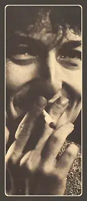 BOB DYLAN in the 1960s - American Singer Songwriter - Laminated Bookmark