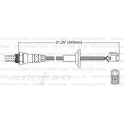 PAT Oxygen Sensor - EGO-060