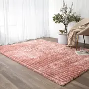 Brand Ventures Tender Dior Blush Shag Rug