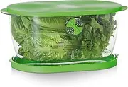 Prep Solutions by Progressive Fresh Fruit, Vegetable, Berry and Lettuce Keeper Lettuce Keeper 4.7 Quarts Green