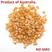 ORGANIC BULK 10 KG POPCORN Kernels Corn Seeds - PRODUCT OF AUSTRALIA - POPCORN