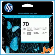 HP 70 Photo Black and Light Gray DesignJet Printhead