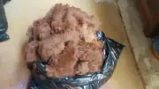 Rockleigh Alpacas - Alpaca Fleece - Brown - Eclair - 650g