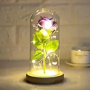 Simulation Rose Flower Preserved Plastic Beauty Red Roses Flowers in Glass Dome, Birthday Gifts Women, Artificial Rose with Led Light, Unique Gift, Valentine's Day Gifts (Purple)