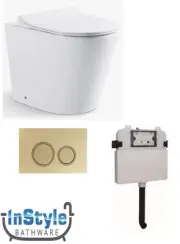 Kent- In Wall Cistern & Rimless Wall Faced Pan with Brushed Gold Push Button