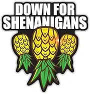 TAYTA Down for Shenanigans Upside Down Pineapple Magnet for Cruise Door, Refrigerator and Car Bumper, Swinger Lifestyle Gifts, Size 4in
