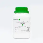 Pichia Adenine Dropout Agar ( PAD Agar) | 250g A + 9.2g B