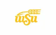Wichita State Shockers stencil logo - Reusalble Pattern - 10 Mil Mylar