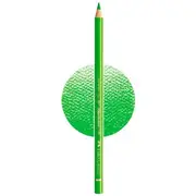 Faber-Castell Polychromos Pencil Grass Green 166