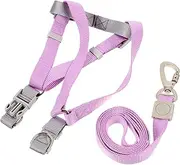 ERINGOGO Puppy Harness Leash Set Small Dog Harness Metal D-Rings for Walking Jogging Training