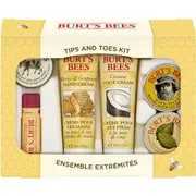 Burt's Bees Tips and Toes Kit