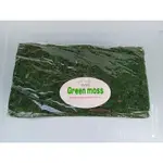 綠色水苔1公斤(綠水苔、綠水草)裝飾水苔/ 天然觀賞綠水苔
