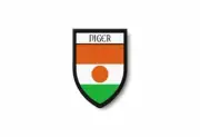 PATCH PATCHES EMBLEM IRON ON GLUE PRINT FLAG world crest niger