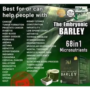 Amazing Pure Organic Barley 驚人的純有機大麥