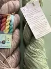 Rhapsody in Hue - Albion Sparkle yarn, 2 skeins fingering weight, 438 yards ea
