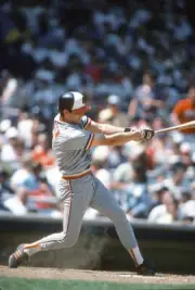 Billy Ripken Baltimore Orioles bats v New York Yankees in- Baseball 1988 Photo 2