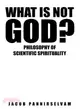 What Is Not God? ― Philosophy of Scientific Spirituality