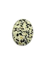 Natural Multicolor Dalmation Jasper Oval Cabochon - 43.00cts