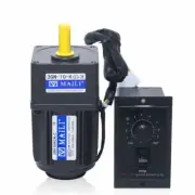 220V 15W AC gear motor electric motor with variable speed controller 1:10 125RPM