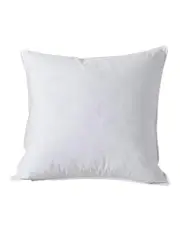 [Dreamaker] Goose Feather and Down Euro Pillow in White