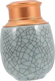 Pet Memorial Urn for Dogs and Cats Elegant Ceramic Cremation Urn with Personalized Carved Claws for Pets Convenient Ashes Holder