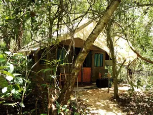 瑪胡拉帳篷野生動物營地 - 丹巴納Mahoora Tented Safari Camp - Dambana