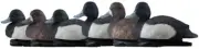 Avian X Topflight Bluebills Decoy, AVX-AVX8088 Hunting - Decoys