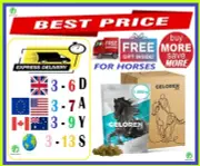 Geloren Horse 1350g Chewable Jelly Apple Tablets-Joints Ligaments Tendons-GIFT