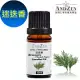 ANDZEN天然草本單方純精油10ml-迷迭香