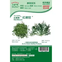 在飛比找蝦皮購物優惠-種子王國 紅蕪菁'紅達冠'Red Mizuna【芽菜種子】天