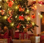 Snowflake Lights 20ft 40 LED with 30 Clips,Valentines Day Decor,Battery Operated