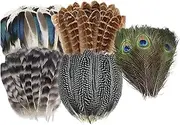 Perfeclan Feathers for Crafts Handicraft Accessories Artificial Feather Colorful Feathers for DIY Craft Wedding Stage Performance Party, 50pcs
