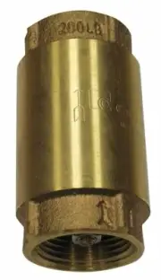 Campbell 2 in. Dia. x 2 in. Dia. Red Brass Spring Loaded Check Valve