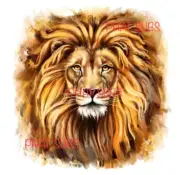 Sublimation Print Lion Head Ready to Press Heat Transfer