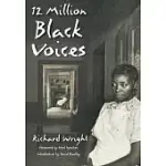 12 MILLION BLACK VOICES