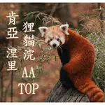 (2023) 獵豆工坊🐆 肯亞 涅里 狸貓浣  AA TOP 水洗  咖啡生豆 500G