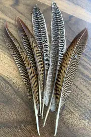 5pcs Natural 18-22cm Mixed Pheasant Feathers Home Decor Vase DIY Art Craft