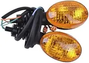 250CC Motorcycle LED Turn Signal Blinker Indicator Light for Ninja250 250R 2008-2012 XT660 XT 600 NINJA250 NINJA250R